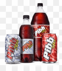 Pibbxtra Home - Xtra png