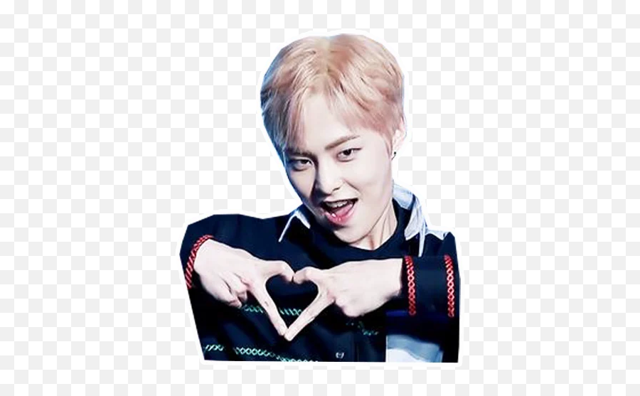 Exo Telegram Stickers - Love Png,Download Icon Exo