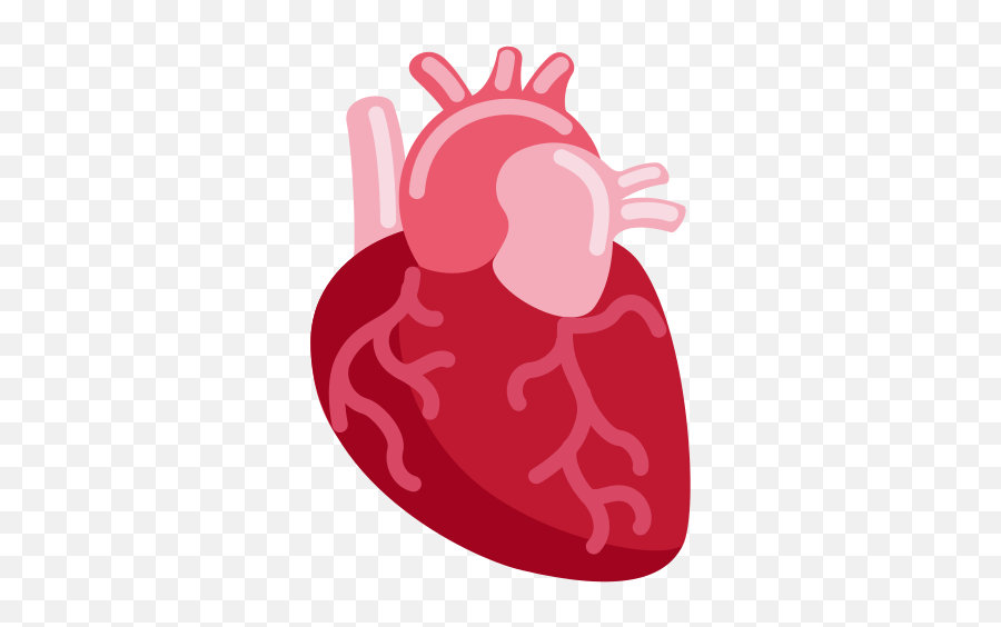 Anatomical Heart Emoji - Anatomical Heart Emoji Discord Png,How To Make A Heart Icon