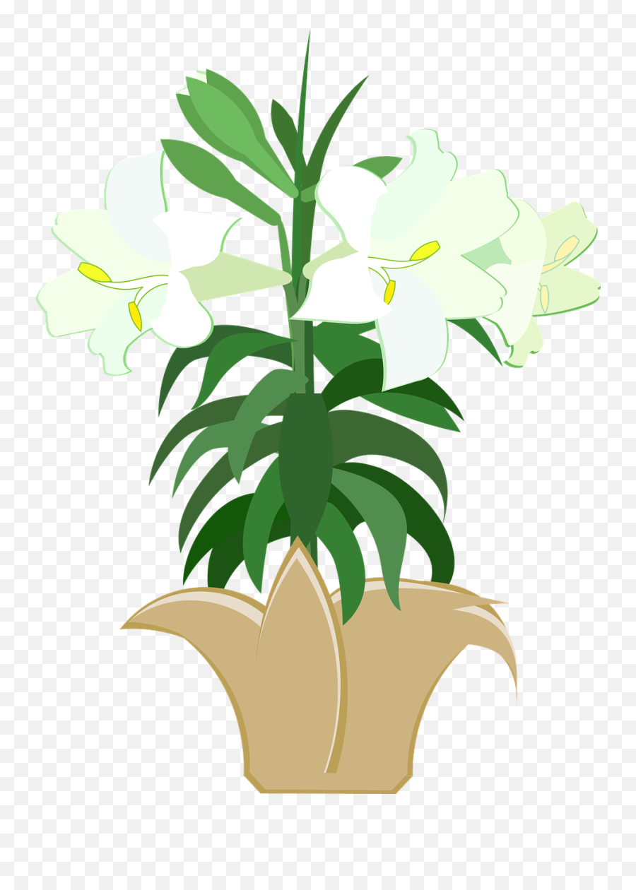 Graphic Easter Lily - Clip Art Easter Lilies Png,Easter Lily Png