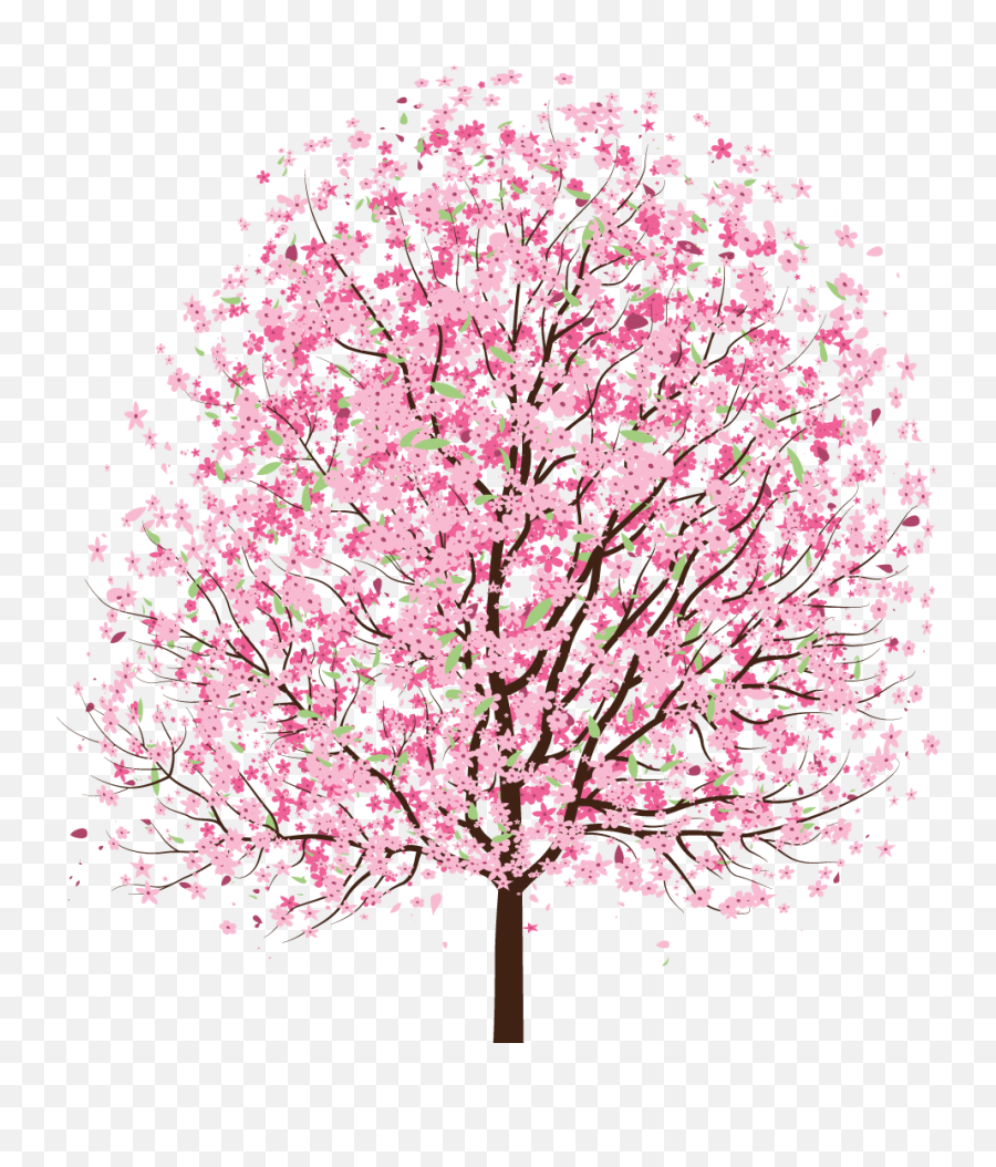 Download Hd Simple Cherry Blossom Tree Drawing Transparent - Cherry Blossom Tree Clipart Png,Cherry Blossom Icon