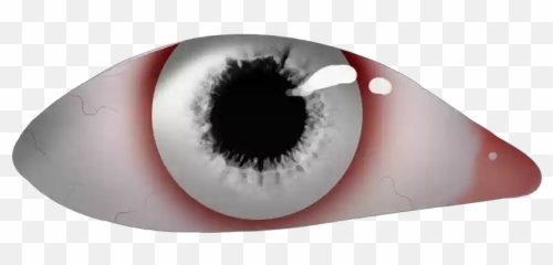 Creepy Following Eyes Roblox Plush Png Free Transparent Png Images Pngaaa Com - creepy eyes roblox transparent png 420x420 2735212 png