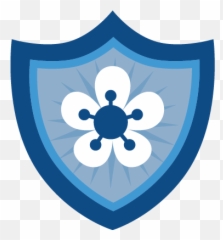 Chrisr - MATLAB Central Matlab Cody Badges png