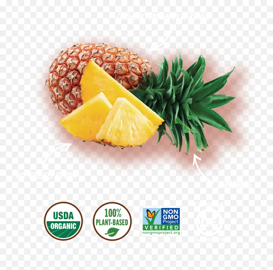 Buy Organic Dried Pineapple Chunk Snacks Made In Nature - Fresh Pineapple Slice Png,Pineapple Slice Icon