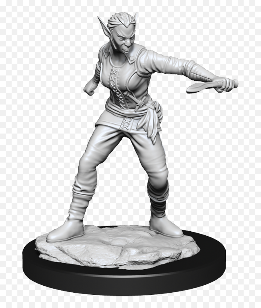 Wizkids Nolzuru0027s Marvelous Miniatures Shifter Rogue Female - Shifter Miniature Png,Adeptus Mechanicus Agripinea Icon