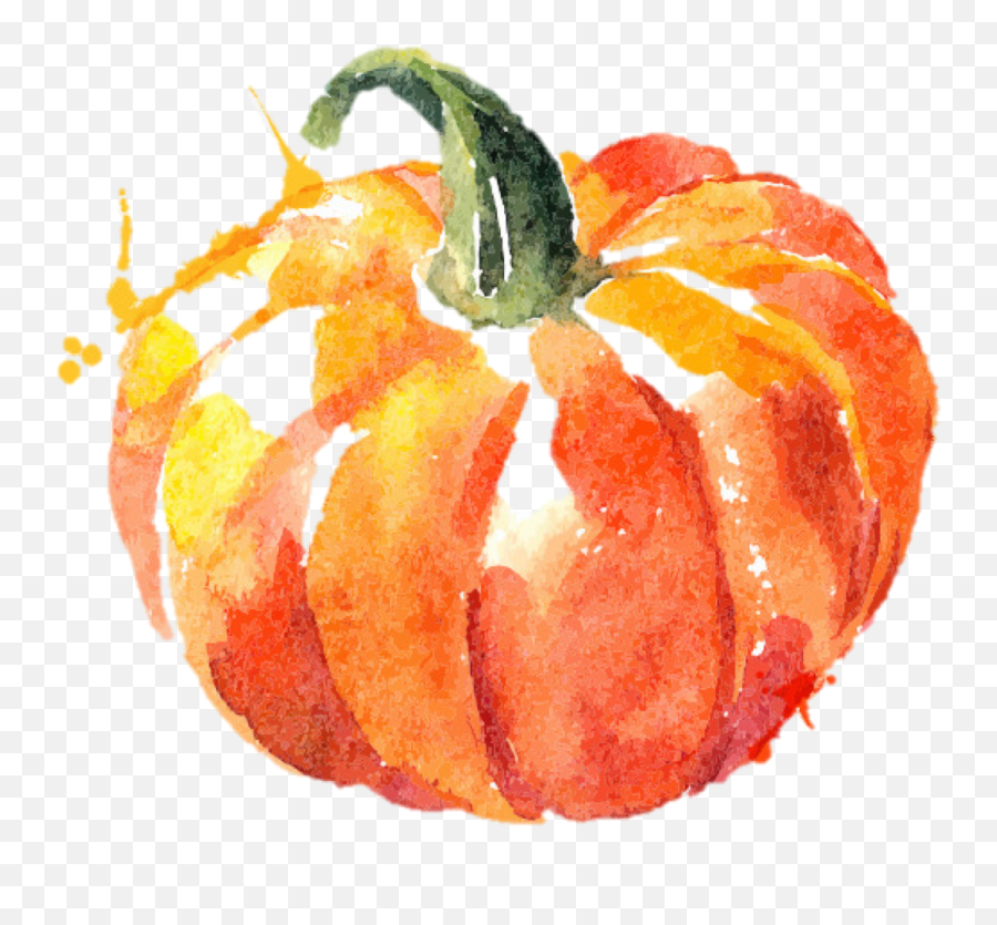 Download Hd Featured Image - Watercolor Pumpkin Png,Pumpkin Png