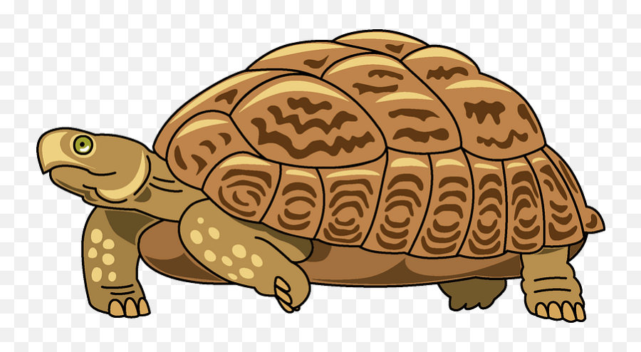 Clipart - Turtle Clipart Png,Turtle Clipart Png