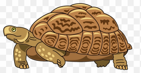 Clipart - Turtle Clipart Png,Turtle Clipart Png