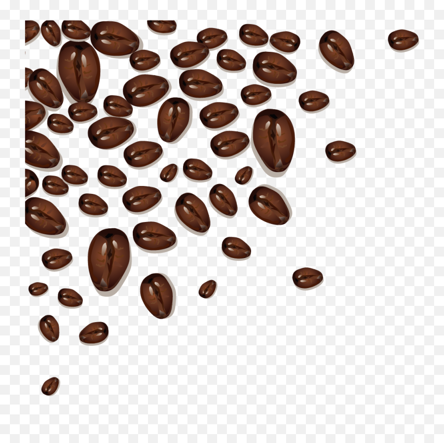 Coffee Bean Cafe Cocoa Clipart - Illstration Of Coffee Bean Png,Cocoa Png