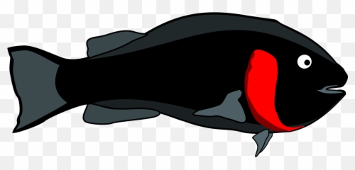 Beakfishdolphin Png Clipart - Royalty Free Svg Png Clip Art,Swordfish Png