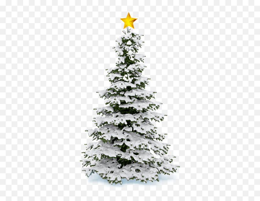 Christmas Tree Snow - Christmas Snow Tree Png,Christmas Snow Png