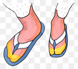 Download Sandals Clipart Sock Sandal - Full Size Png Image Socks And Sandals Clipart,Sandals Png