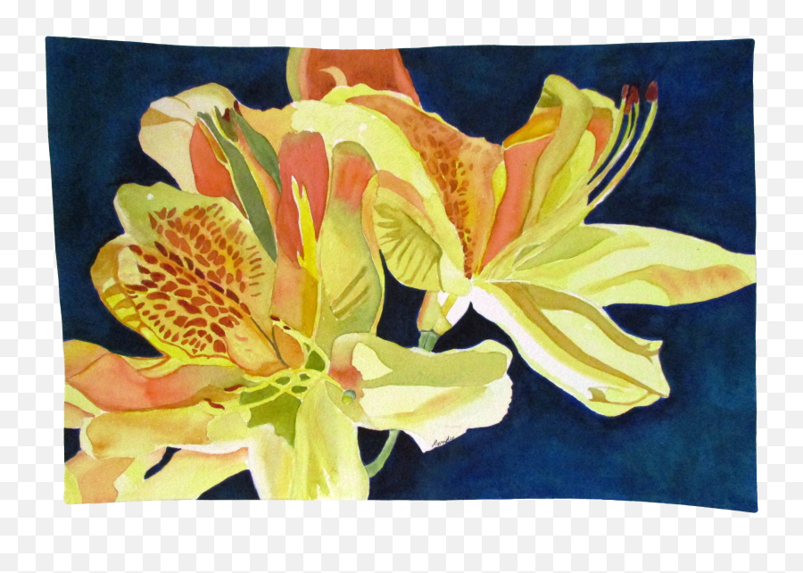 Contemporary Day - Lillies Watercolor On Paper Painting Png,Lillies Png