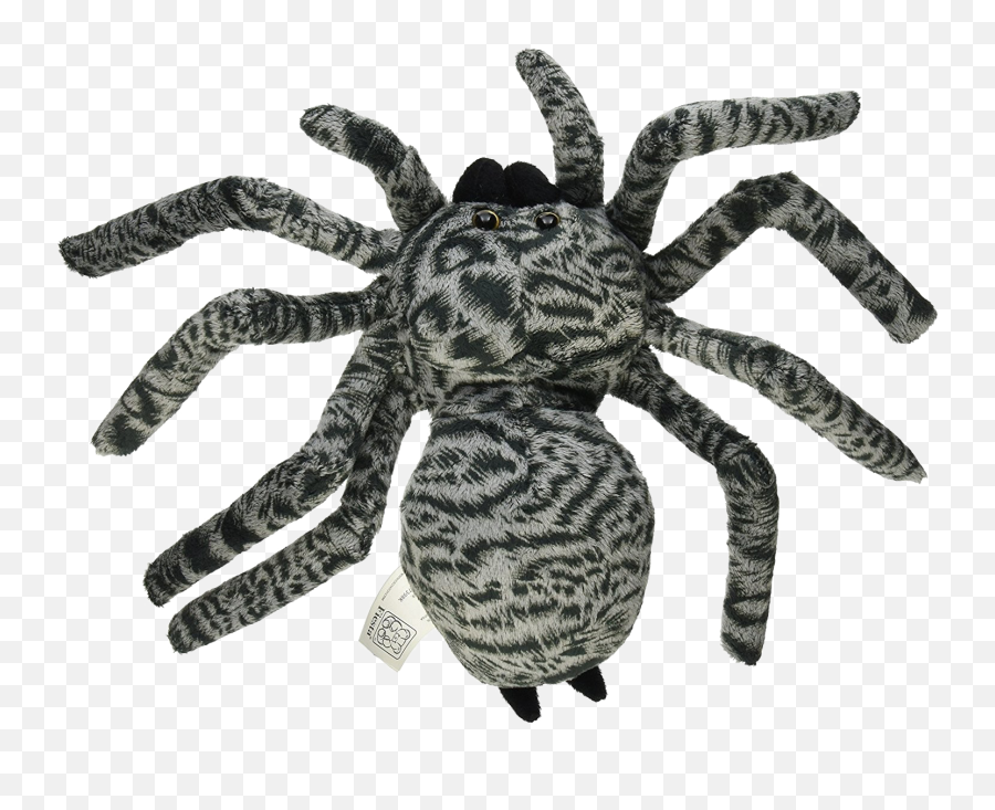 Spider Png Photo Arts - Peluches De Tarántulas,Tarantula Png