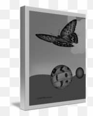 Flying Butterfly With Egg Forms Large Poster By T Forsman - Milkweed Butterflies png