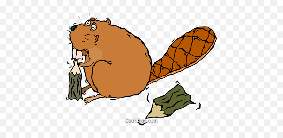 Beaver Chewing - Beaver Gnawing Tree Cartoon Png,Beaver Transparent