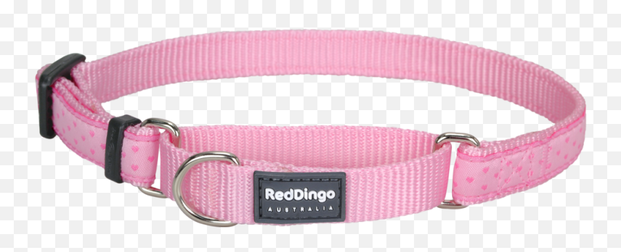 Martingale Love Sprinkles Dog Collar - Pink Martingale Dog Martingale Png,Dog Collar Png
