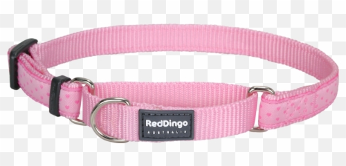 Martingale Love Sprinkles Dog Collar - Pink Martingale Dog Martingale Png,Dog Collar Png