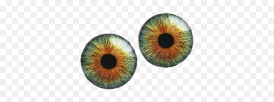 Black Googly Eyes Transparent Png - Hazel Green Eye Ball,Googly Eyes Transparent Background