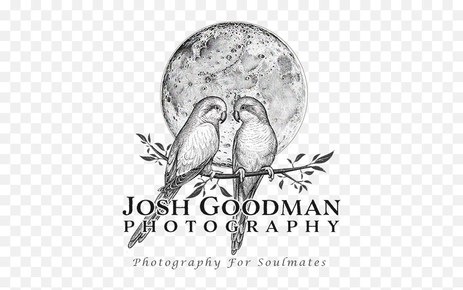 Los Angeles Wedding Photographer Josh Goodman Photography - Lovely Png,Weddingwire Logo