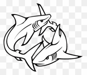 15 Latest Shark Tattoo Designs And Ideas - Outline png