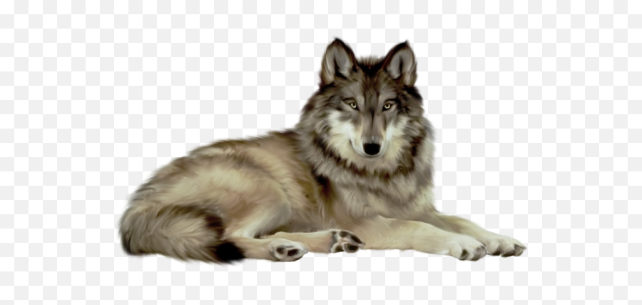Free Animal Cliparts Transparent - Wolf Png,Transparent Animals
