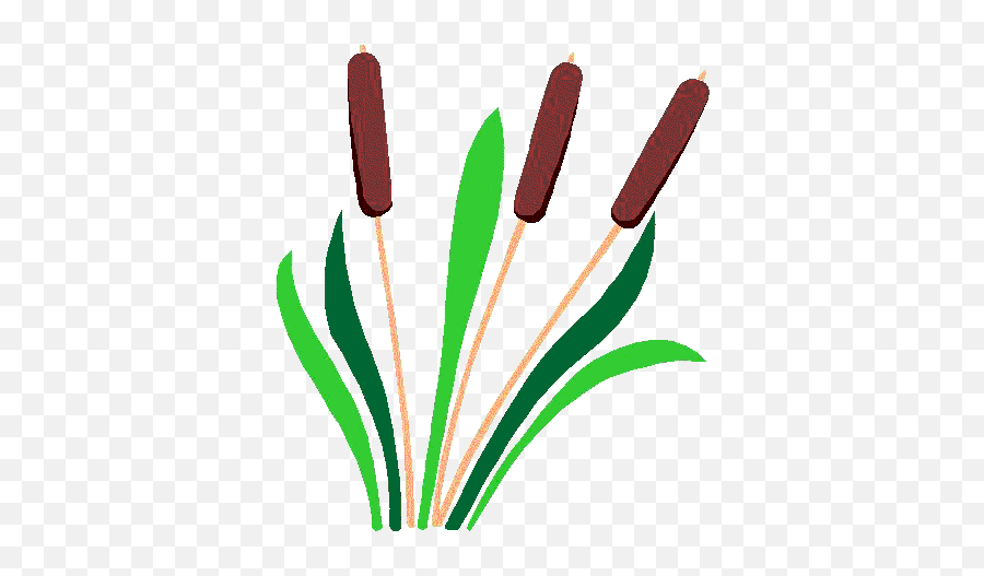 Free Cattail Cliparts Download Cli 883926 - Png Cattails Clipart,Cat Tail Transparent