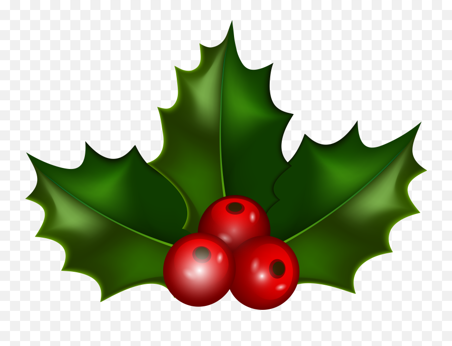 Holly Clip Png U0026 Free Clippng Transparent Images - American Holly,Holly Garland Png