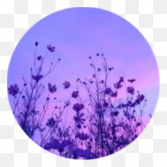 Tide Lyrics Niall Horan Png Image With - Purple Aesthetic