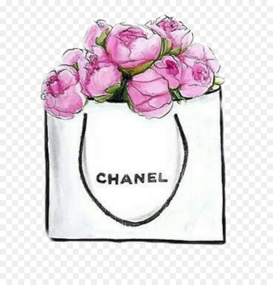 Chanel Bolsa Flores Freetoedit - Chanel Bag Drawing Png,Chanel Png