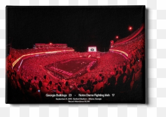 Georgia Bulldogs - Canvas College Wall Art png