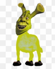 Shrek Fiona PNG Image - PurePNG  Free transparent CC0 PNG Image Library