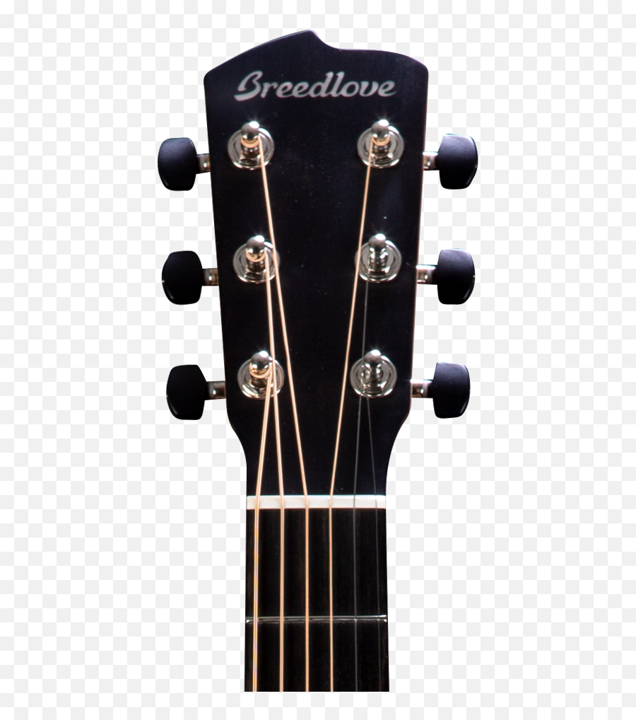 Breedlove Oregon Concertina Ce U2013 West Chester Music - Mantra Avatar Guitar Color Png,Godin Icon Classic
