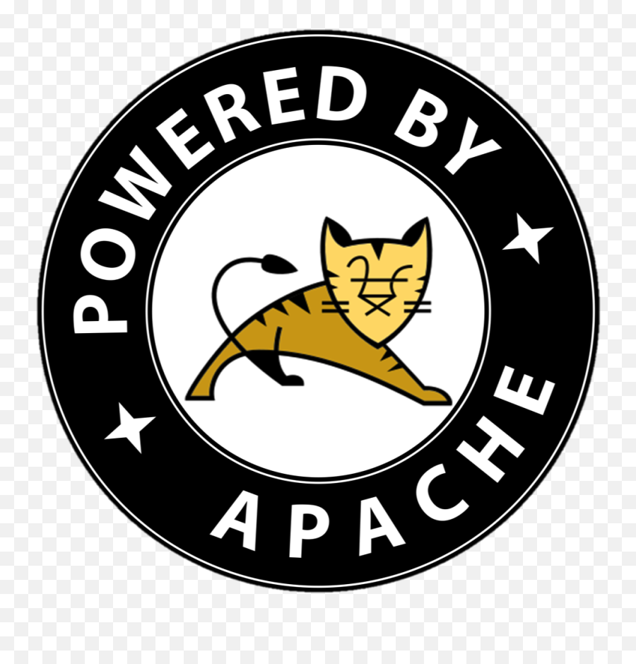 Expertise U2014 Axispoint - Apache Tomcat Png,Tomcat Icon