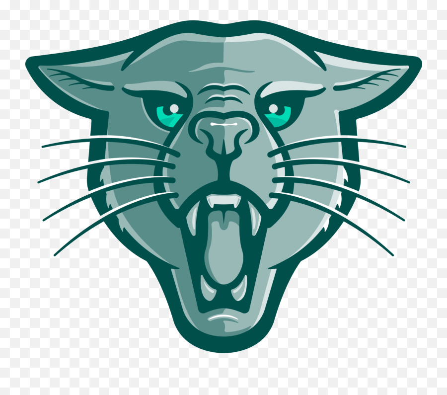 Faculty U0026 Staff - Augusta Technical College Mascot For Augusta Technical College Png,Cougar Icon