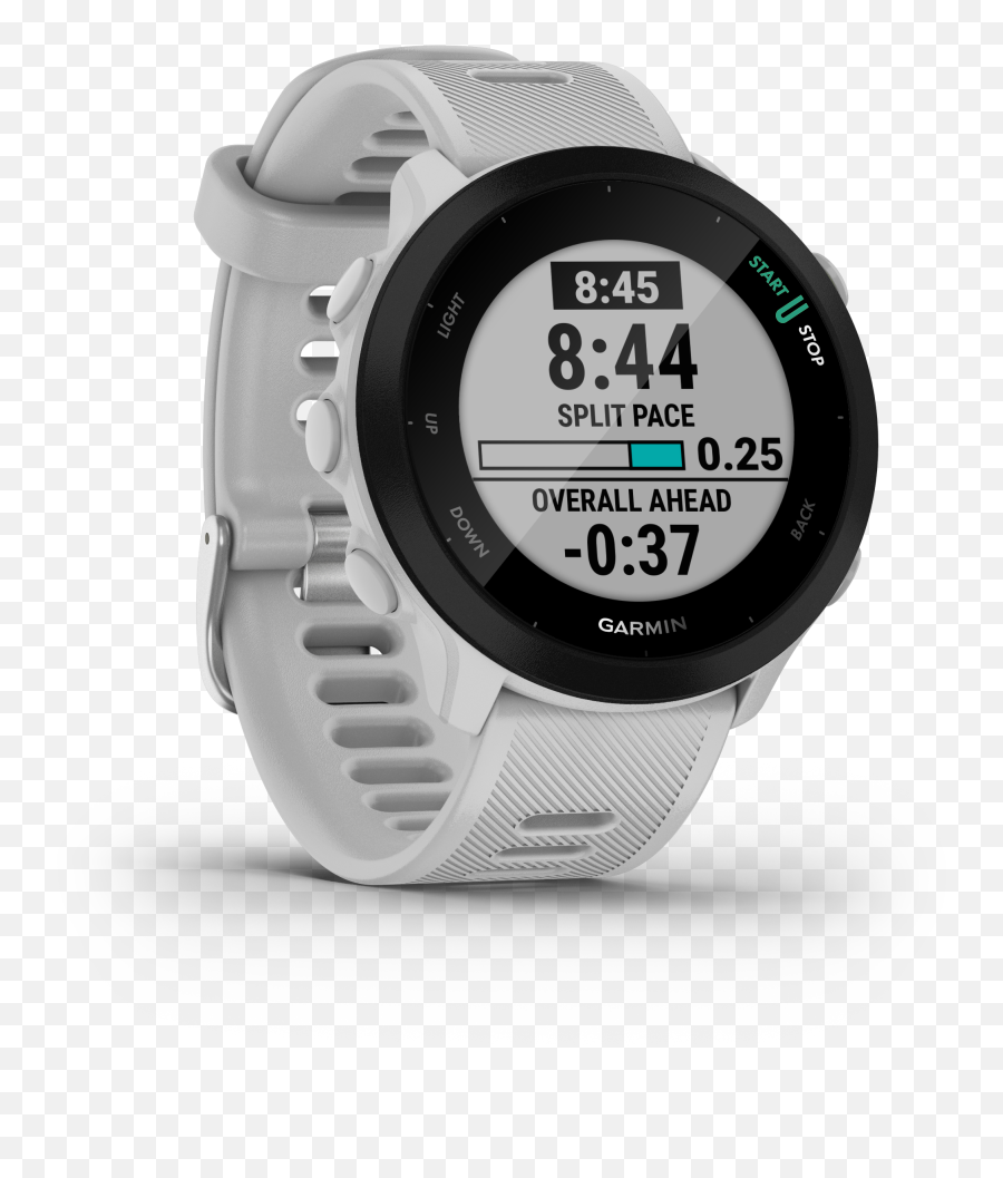 Garmin Forerunner 55 Png Nuvi 260w Computer Icon