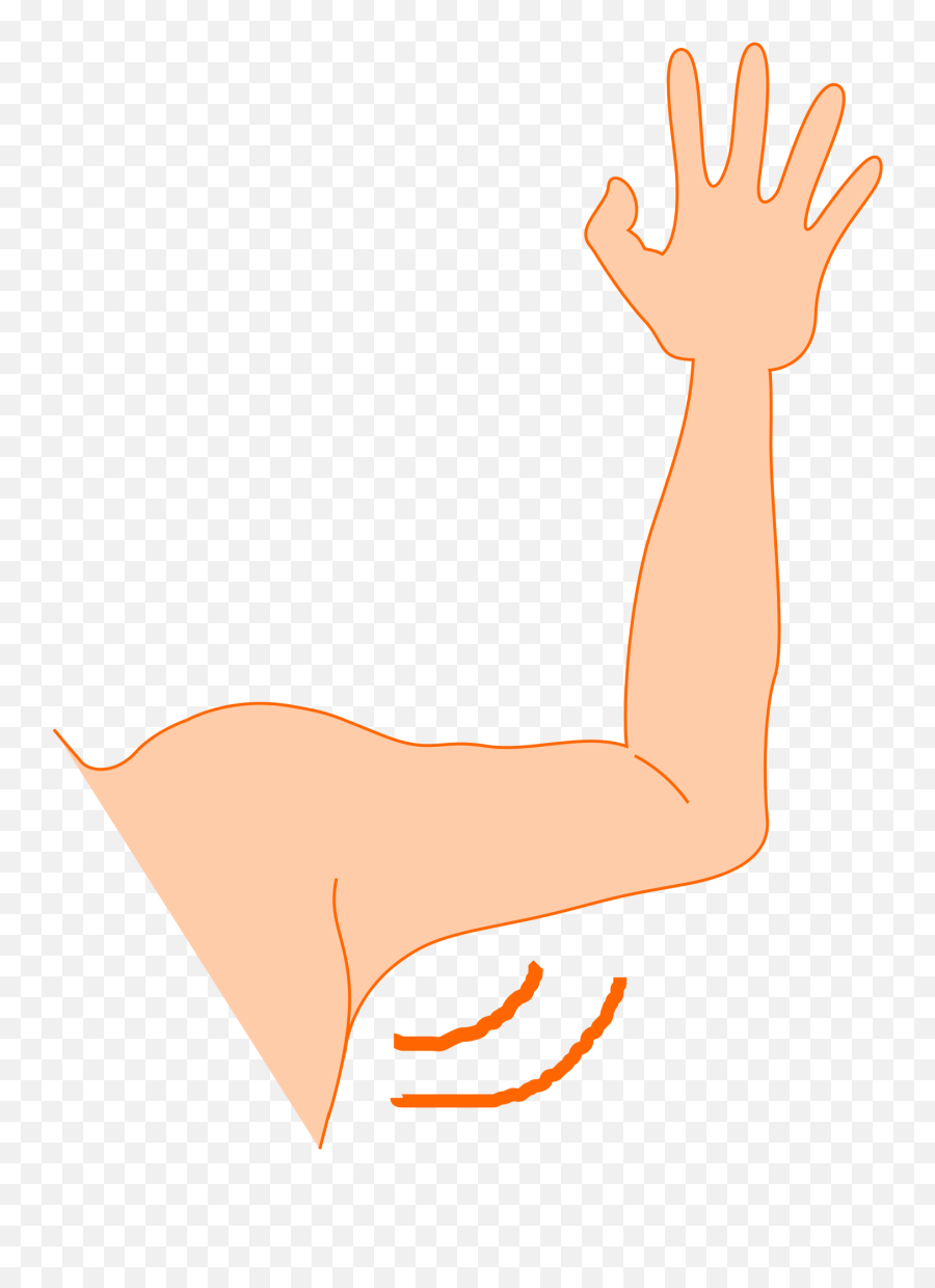 Free Arms Cliparts Download Clip Art - Left Arm Clipart Png,Cartoon Arm Png