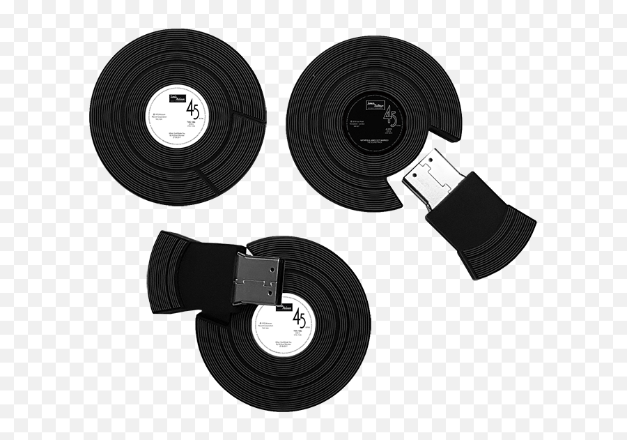 Vinyl Record Usb Drives - Band Cds Usb Stick Vinyl Record Png,Vinyl Record Png