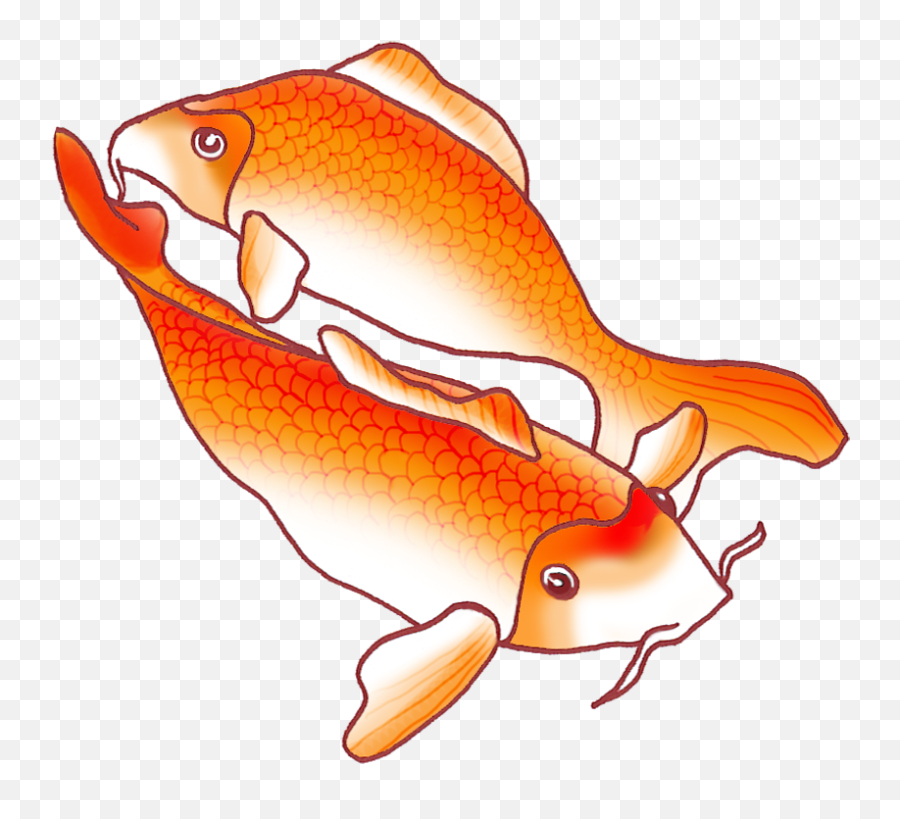 Png Image - Transparent Fish Png Drawing,Koi Fish Png