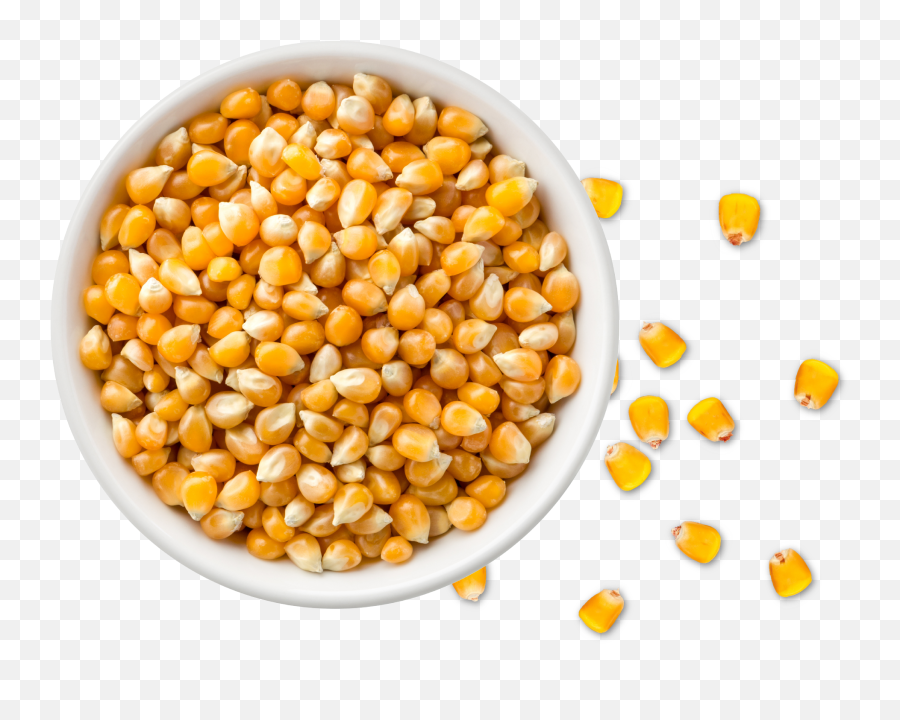 Imagine What Corn Can Do - Lifeline Foods Corn Grain Png,Corn Png