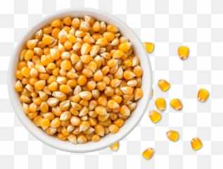 Imagine What Corn Can Do - Lifeline Foods Corn Grain Png