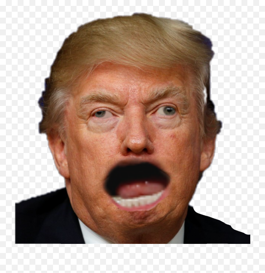 Download Derp Trump - Derp Trump Png Full Size Png Image Donald Trump Derp Face,Trump Png