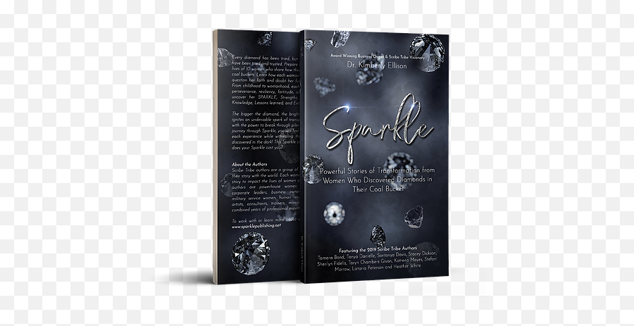 Sparkle Sparklepublishing - Commemorative Plaque Png,Diamond Sparkle Png