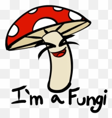 Download Picture Transparent Champagne Line Art Clip Png Fungi