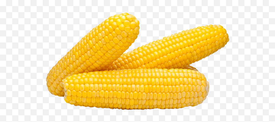 Corn Yellow Png Clipart Images Free Download - Free Corn On The Cob Png,Corn Cob Png