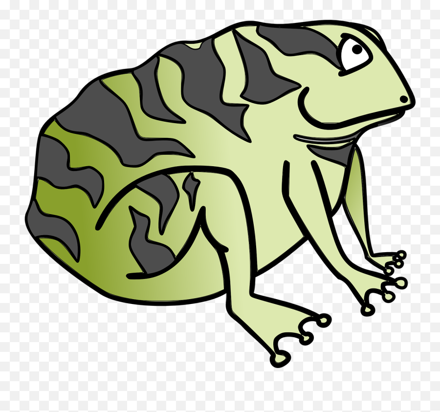 Toad Frog Green - Toad Clip Art Png,Toad Png