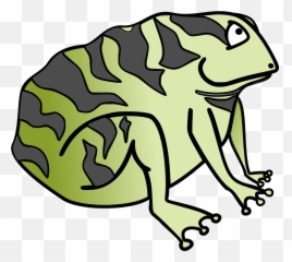 Toad Frog Green - Toad Clip Art Png,Toad Png