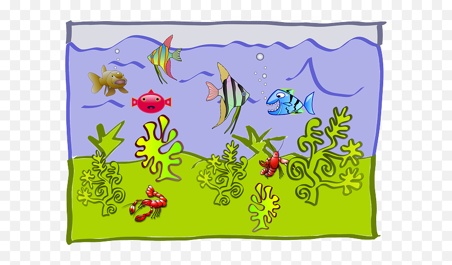 Underwater World - Aquarium Free Svg Solubility Of Gases In Liquids Png,Fish Tank Png