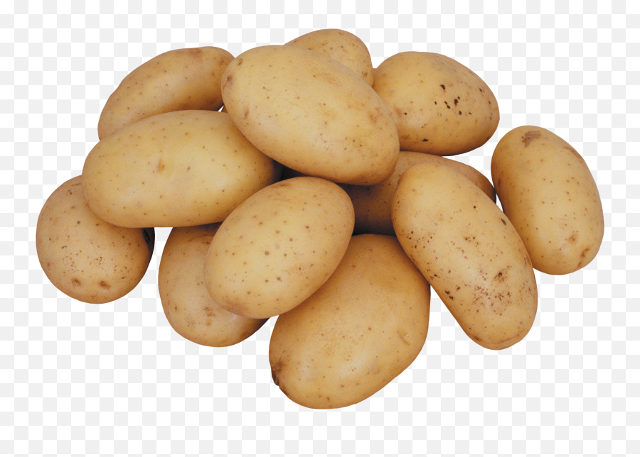 Png Transparent Potato - Potato Png,Potatoes Png