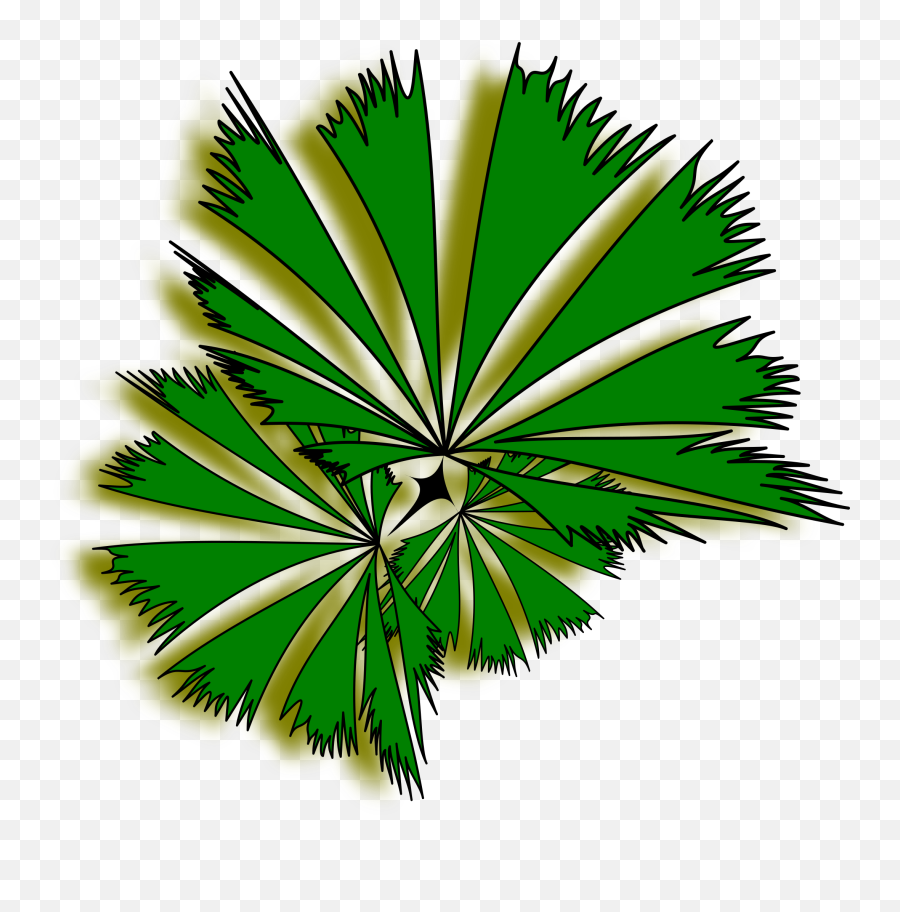 Download Plant Top View Png - Palm Trees,Plant Top View Png